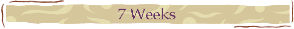 7 Weeks