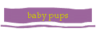 baby pups