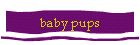 baby pups