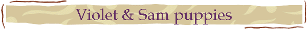 Violet & Sam puppies