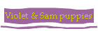 Violet & Sam puppies